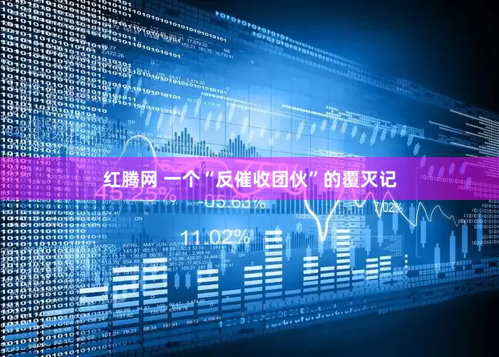 红腾网 一个“反催收团伙”的覆灭记