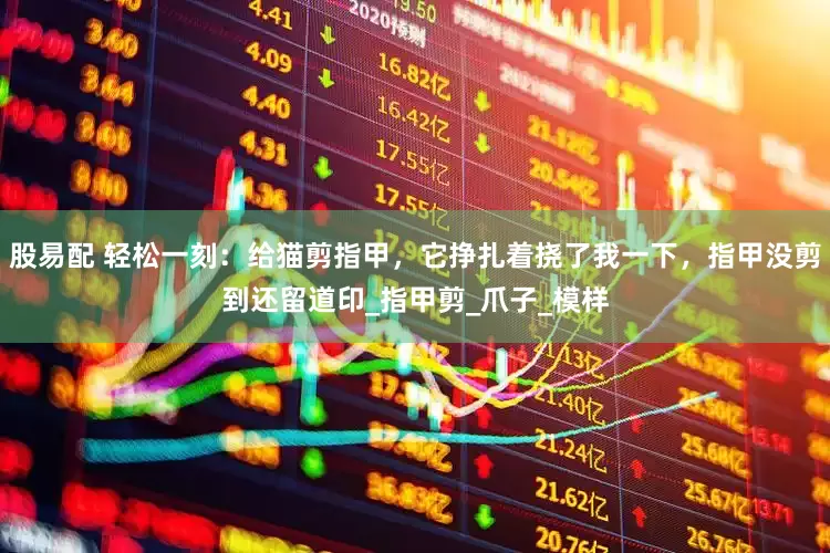 股易配 轻松一刻：给猫剪指甲，它挣扎着挠了我一下，指甲没剪到还留道印_指甲剪_爪子_模样