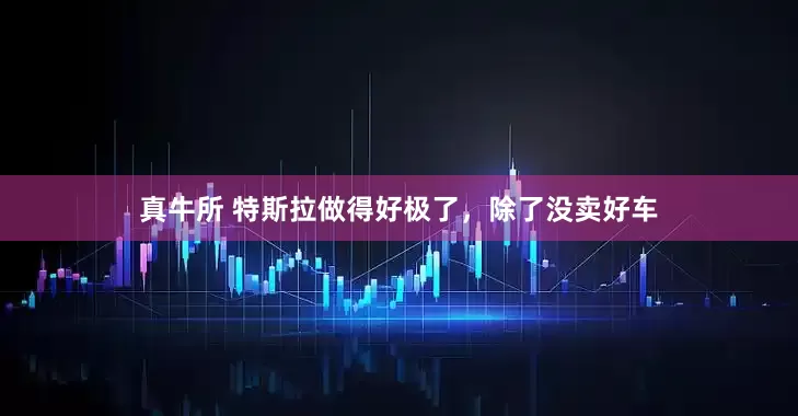 真牛所 特斯拉做得好极了，除了没卖好车
