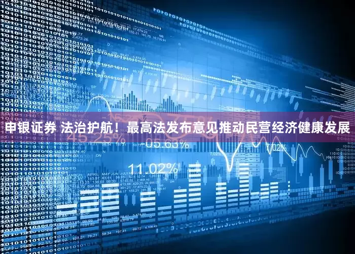 申银证券 法治护航！最高法发布意见推动民营经济健康发展
