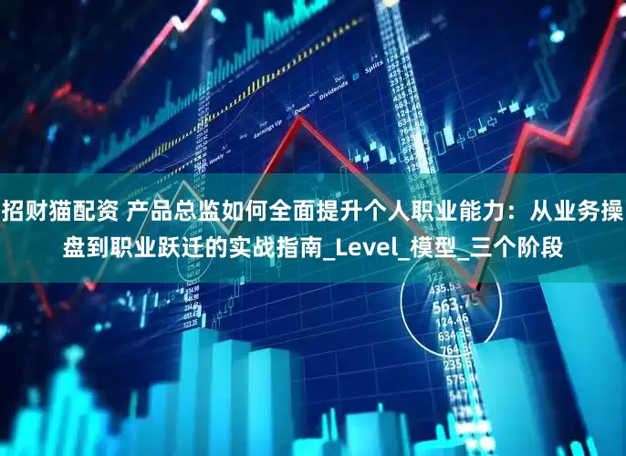 招财猫配资 产品总监如何全面提升个人职业能力:从业务操盘到职业跃迁的实战指南_Level_模型_三个阶段